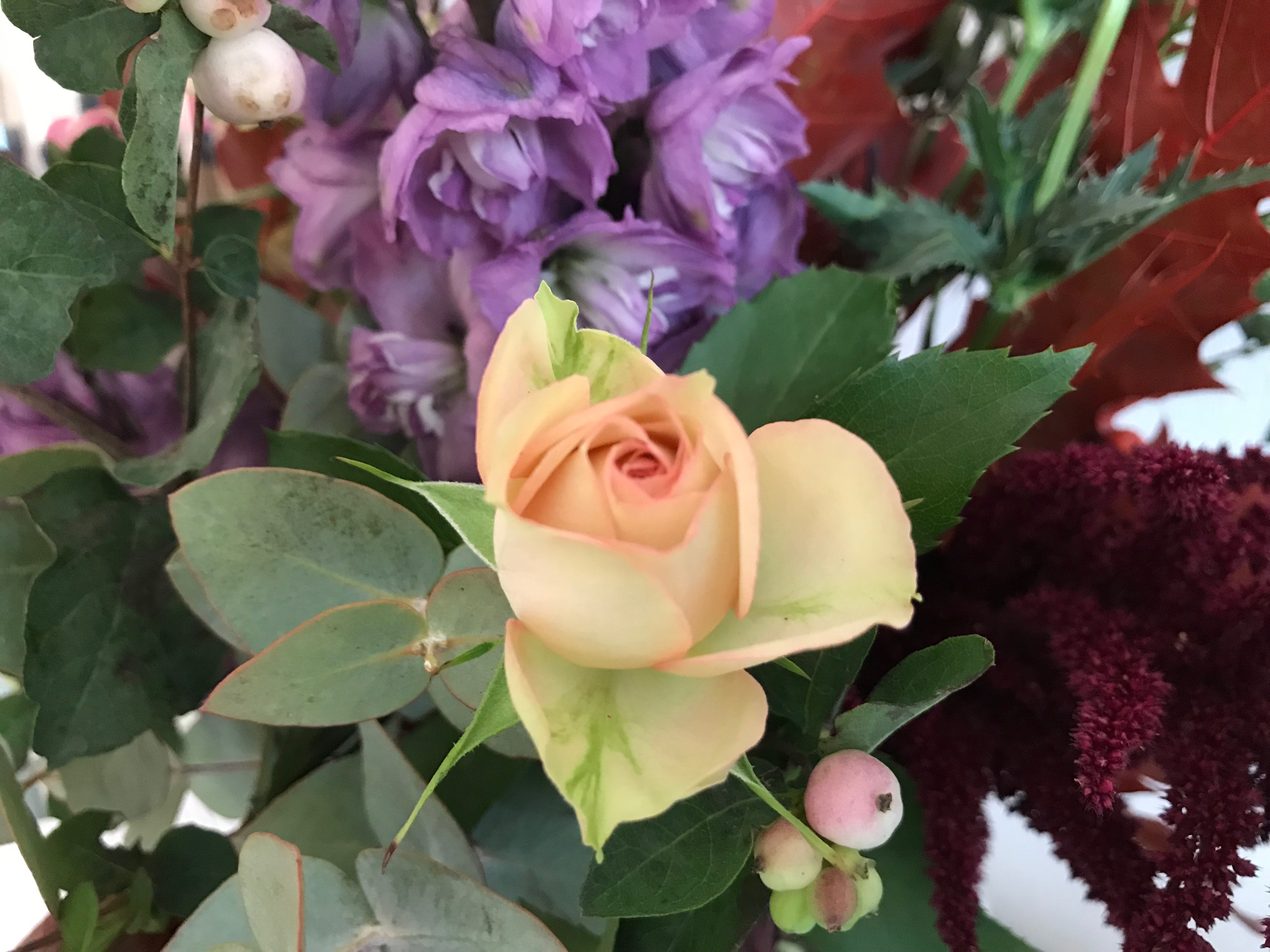 Funeral Ceremony in Scotland by Funeral Celebrant, Onie Tibbitt.